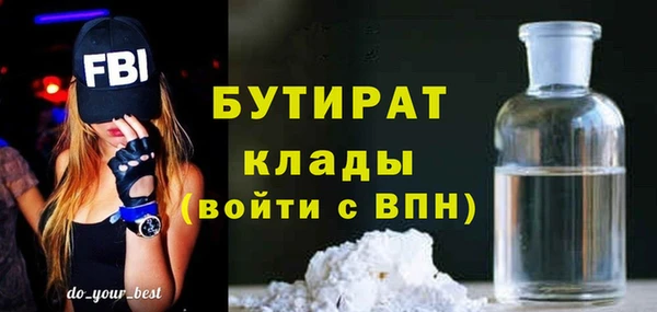 хмурый Верея