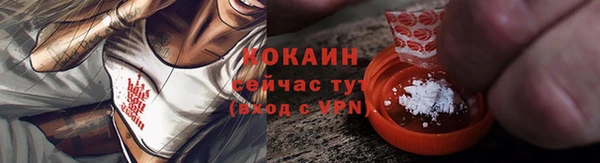 хмурый Верея