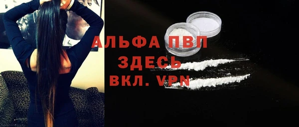 хмурый Верея
