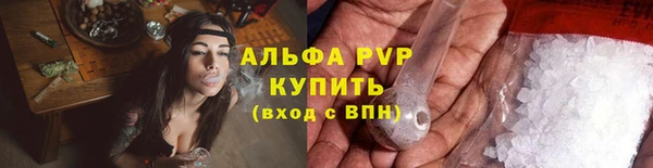 хмурый Верея