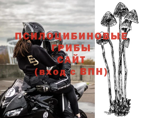 ГАЛЛЮЦИНОГЕННЫЕ ГРИБЫ Верхнеуральск