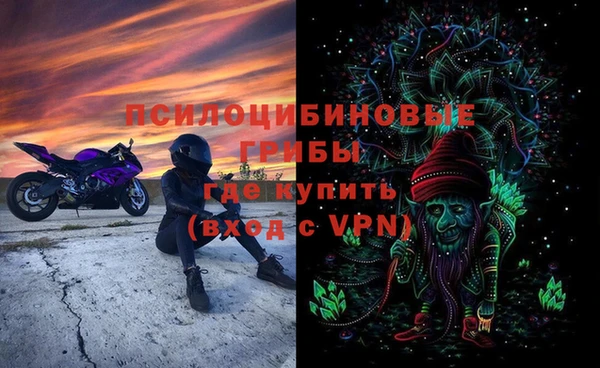 хмурый Верея